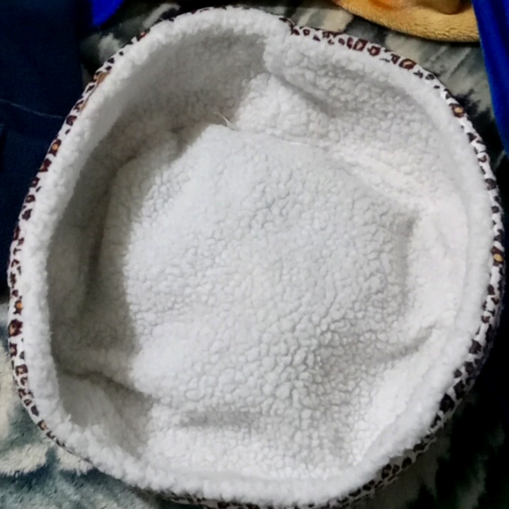 Cat bed